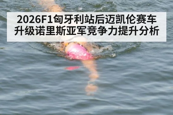 2026F1匈牙利站后迈凯伦赛车升级诺里斯亚军竞争力提升分析